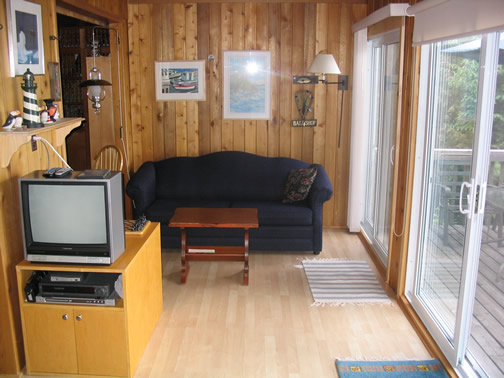 Pull out couch