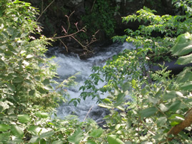 Buttermilk Falls - A Photgrapher's Dream