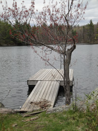 The dock on Devil Lake