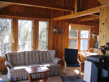Creature comforts