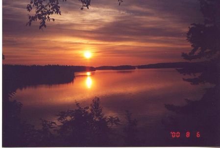 Early morning view from the cottage
